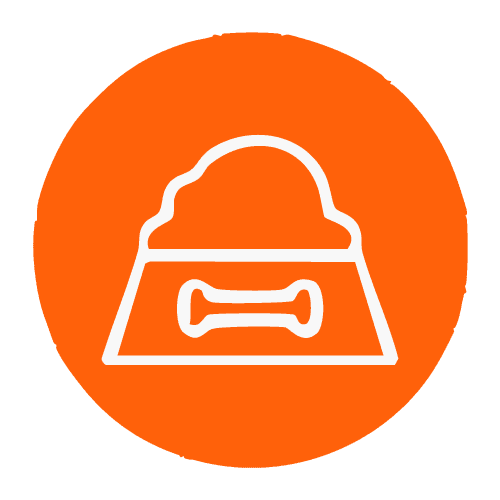 Innovación tecnológica